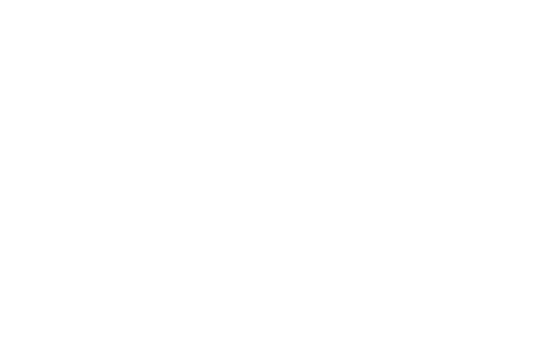 乐米波波体